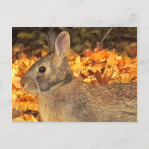 Autumn Bunny Postkarte