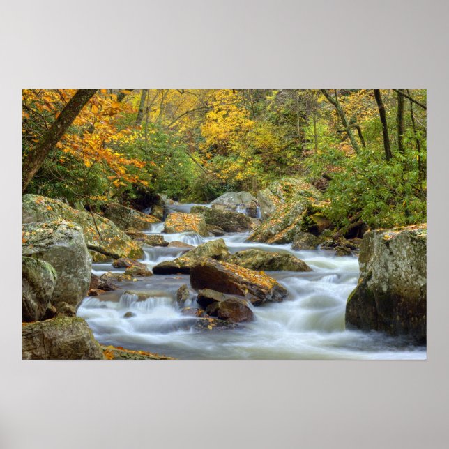 Autumn Cascade Print Poster (Vorne)