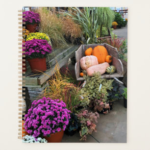 Autumn Decor