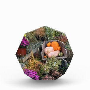 Autumn Decor Fotoblock