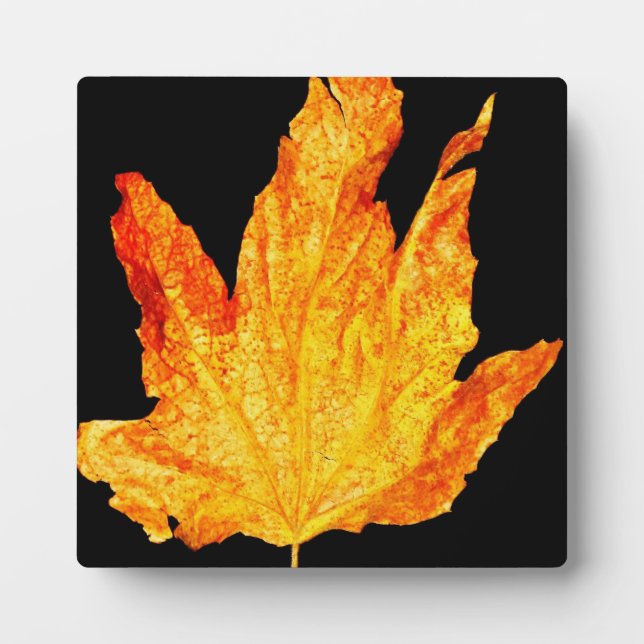 Autumn Decor Fotoplatte (Vorderseite)