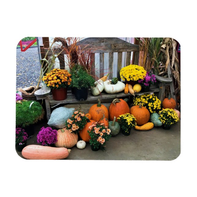 Autumn Decor Magnet (Horizontal)