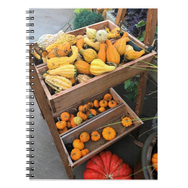 Autumn Decor Notizblock (Vorderseite)