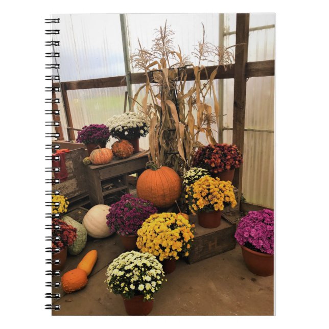 Autumn Decor Notizblock (Vorderseite)