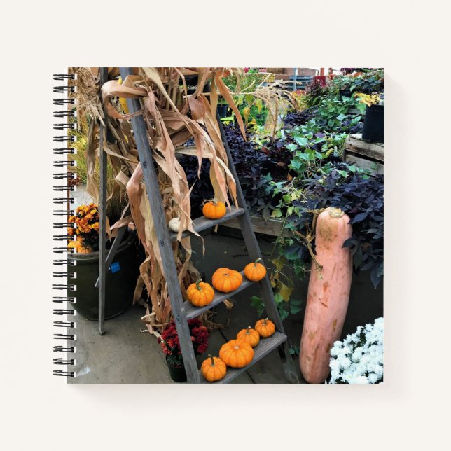 Autumn Decor Notizbuch (Vorderseite)