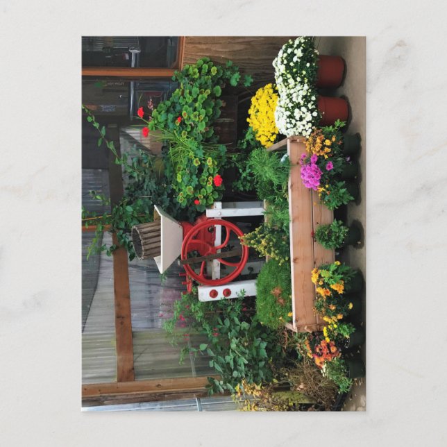 Autumn Decor Postkarte (Vorderseite)