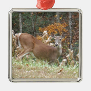 Autumn Deer in Lake Arrowhead GA Silbernes Ornament
