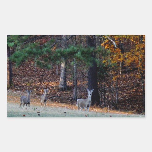 Autumn Deer in the Distanz Rechteckiger Aufkleber (Vorderseite)