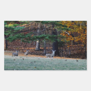 Autumn Deer in the Distanz Rechteckiger Aufkleber
