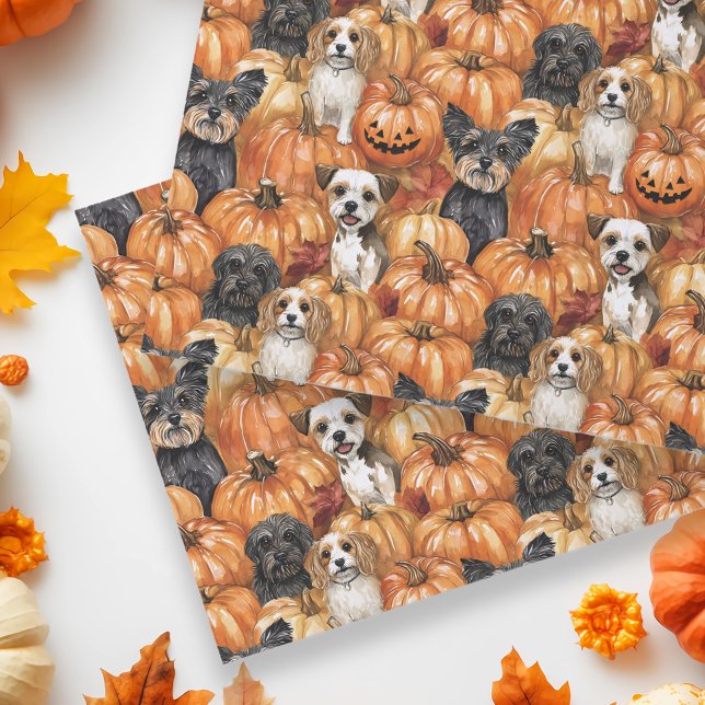 Autumn Dogs in a Pumpkin Patch Halloween Seidenpapier (Von Creator hochgeladen)