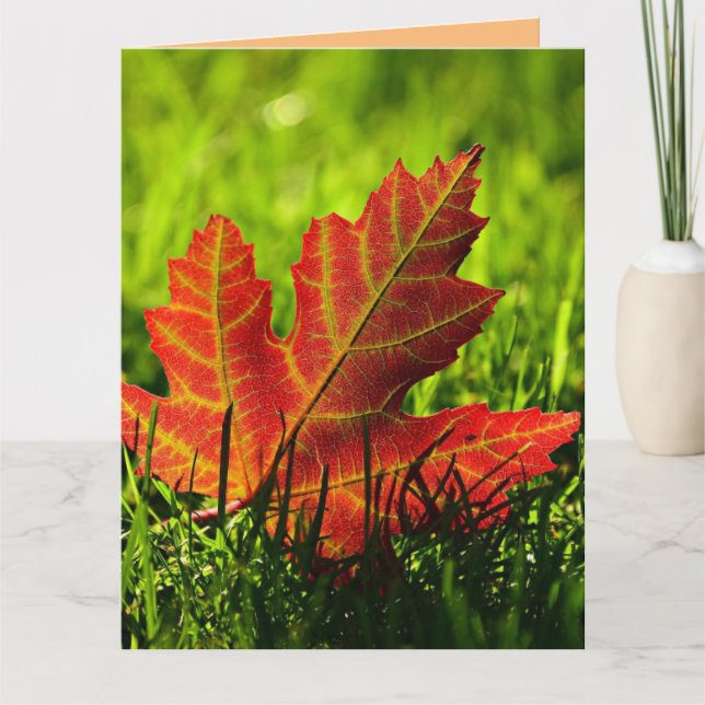 AUTUMN FALL BIRTHDAY GREETING CARD KARTE (Vorderseite)