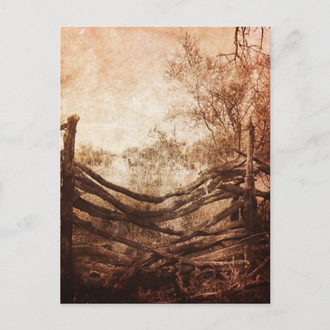 Autumn Fall rural landscape Rustic Farm Fence Postkarte (Vorderseite)