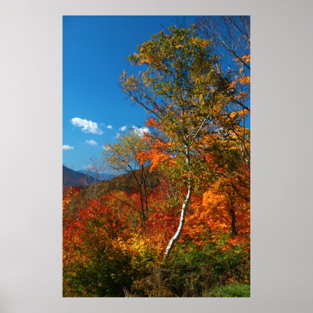 Autumn Foliage Poster (Vorne)