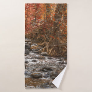 AUTUMN FOREST RIVER SEDONA ARIZONA