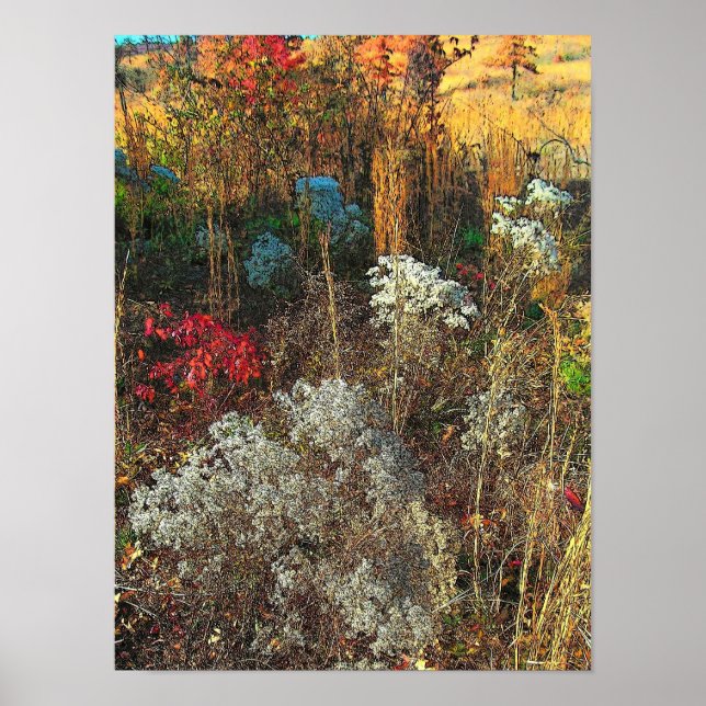 Autumn Grasses Poster (Vorne)