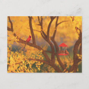 Autumn Guardian Postcard Postkarte