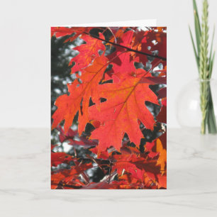 AUTUMN HERBSTLAUB HELLO GREETING CARD KARTE