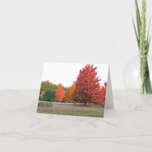 "AUTUMN IM LAND" MICHIGAN LOCALE KARTE
