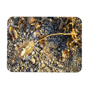 Autumn Impression Magnet