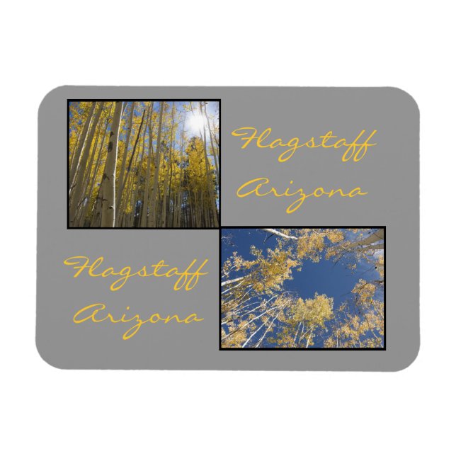 Autumn in Flagstaff Magnet (Horizontal)