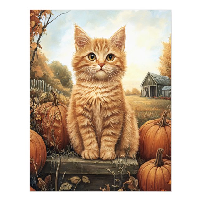 Autumn Kitten mit Pumpkins Fotodruck (Vorne)