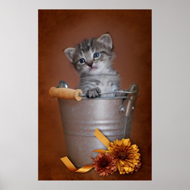 Autumn Kitten Poster (Vorne)