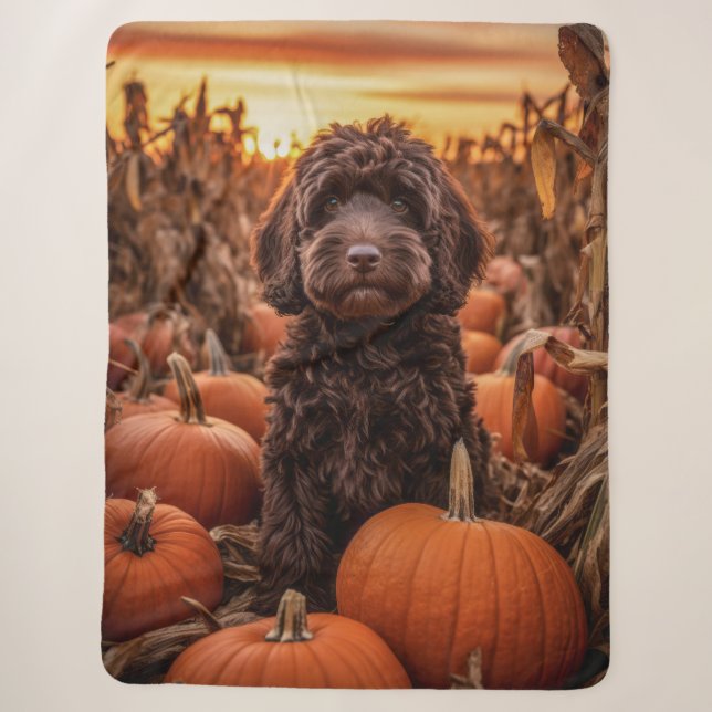 Autumn Labradoodle Sherpadecke (Vorderseite)