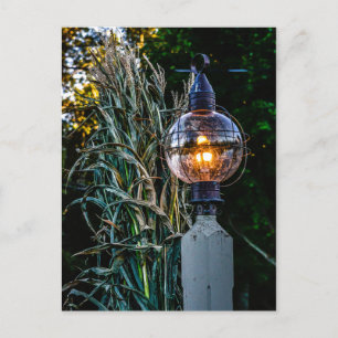 Autumn Lampost Aglow Postcard Postkarte