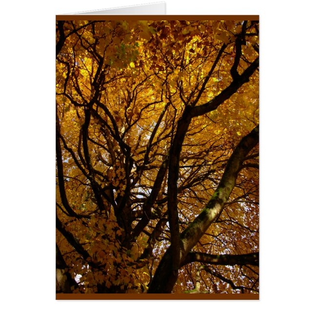 Autumn Landcape Blank Card Schöne Print Cards (Vorne)