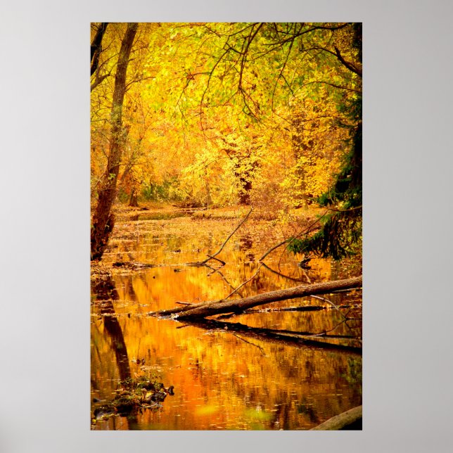 Autumn Landscape Forest Photo Nature Wall Poster (Vorne)