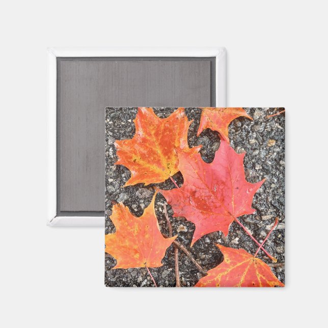 Autumn Leaf Collage Magnet (Vorderseite/Rückseite)