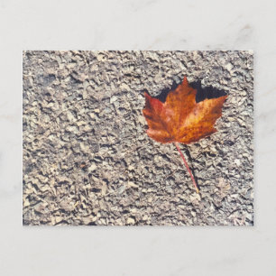 AUTUMN LEAF FOTO POSTCARD POSTKARTE