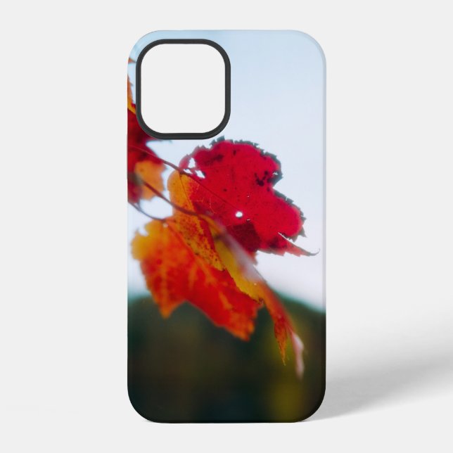 Autumn Leaf iPhone-Hülle iPhone 12 Hülle (Rückseite)