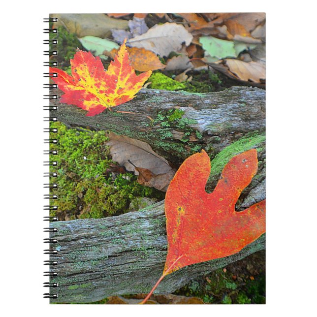 Autumn Leaf Notebook Notizblock (Vorderseite)