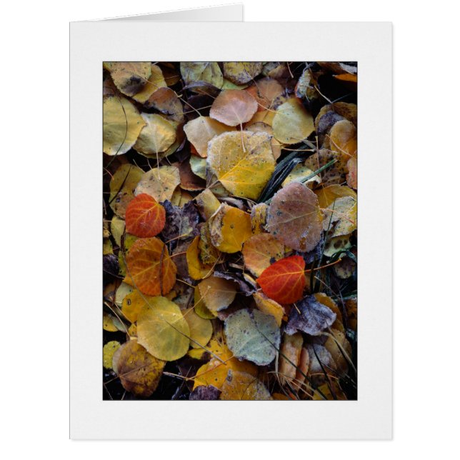 "Autumn Leaf Puzzle" (Devant)