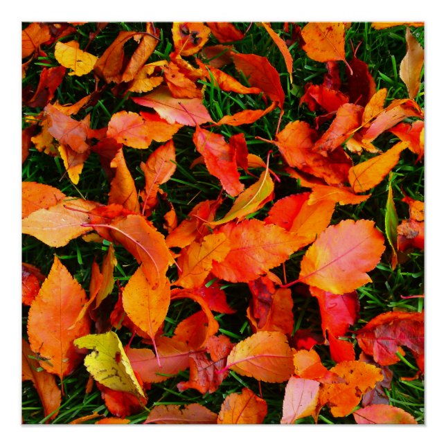 Autumn Leaf Texture Perfect Poster (Vorderseite)