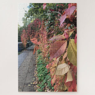 Autumn Leaves Along Regent's Canal London UK
