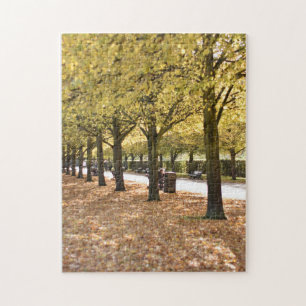 Autumn Leaves and Trees Regent's Park London UK