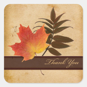 Autumn Leaves auf dem Age Paper Square Vielen Dank Quadratischer Aufkleber