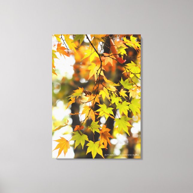 Autumn Leaves [Canvas Print] Leinwanddruck (Vorderseite)