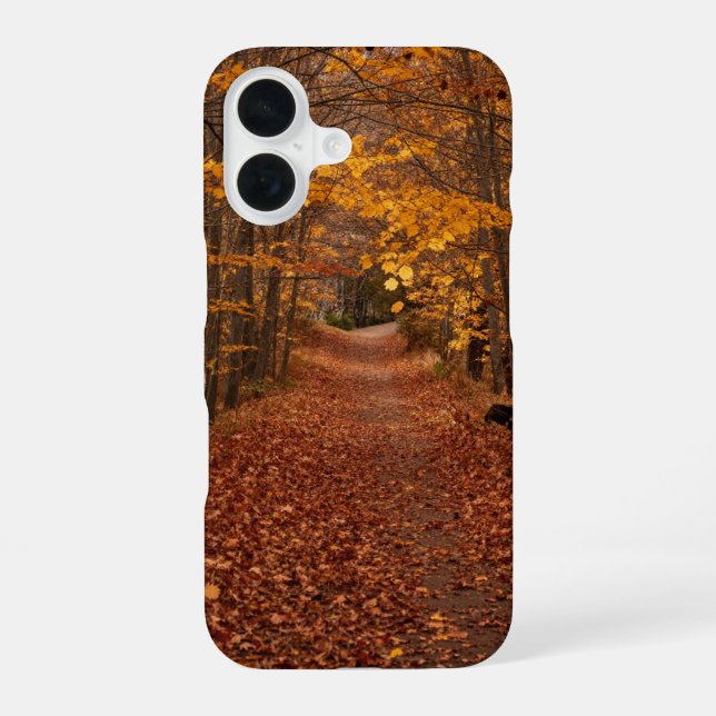 Autumn Leaves Path Phone Case iPhone 16 Hülle (Rückseite)