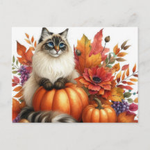 Autumn Leaves Pumpkins und Ragdoll Cat Postcard