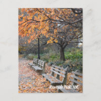 Autumn Leaves Riverside Park New York City Foto