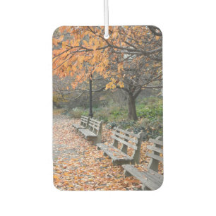 Autumn Leaves Riverside Park New York City NYC Autolufterfrischer