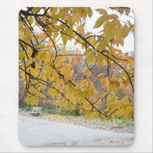 Autumn Leaves Riverside Park New York City NYC Mousepad