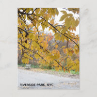 Autumn Leaves Riverside Park New York City NYC