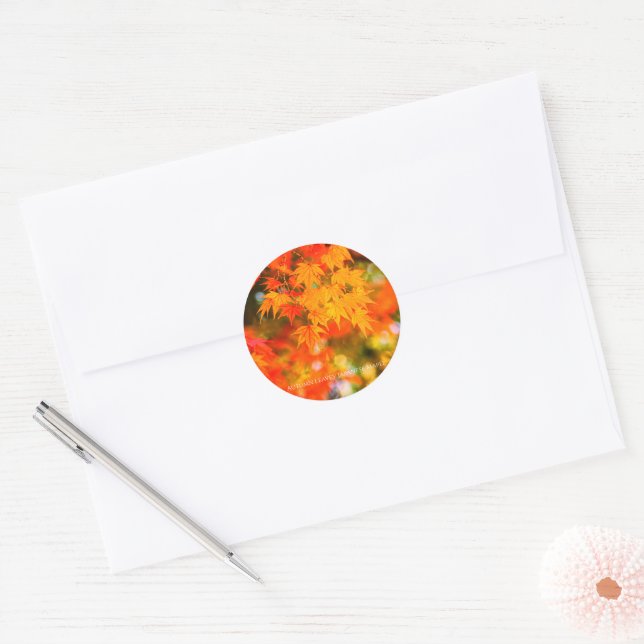 Autumn Leaves [Round Seal] Runder Aufkleber (Umschlag)