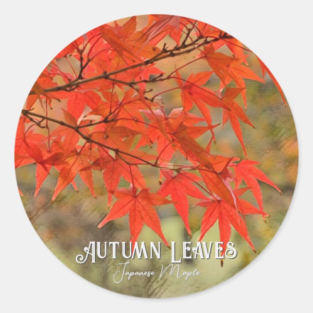 Autumn Leaves Runder Aufkleber (Vorderseite)