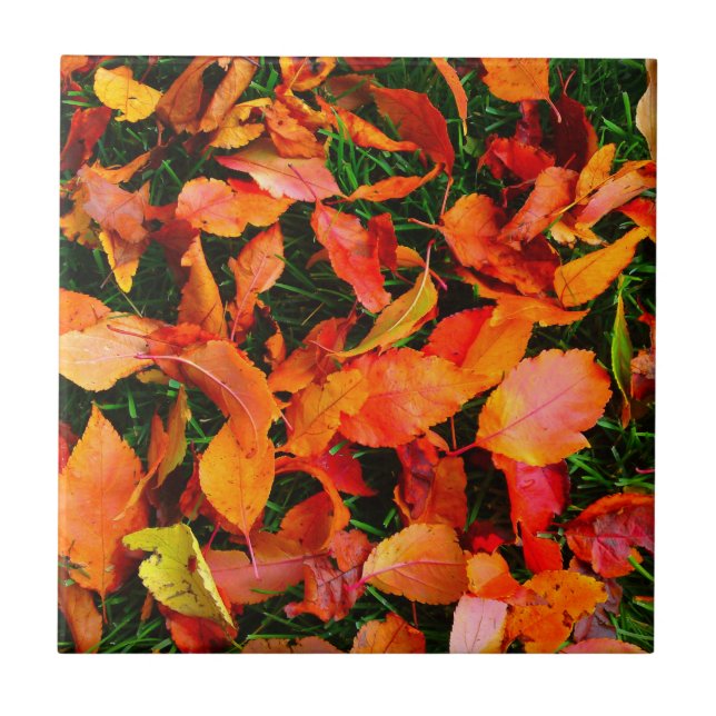 Autumn Leaves Tile Fliese (Vorderseite)