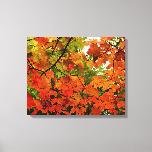 Autumn Leaves Wrapped Canvas Leinwanddruck (Vorderseite)